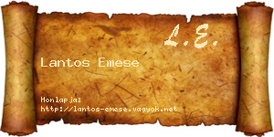 Lantos Emese névjegykártya